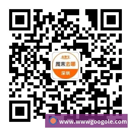 战术分析频道