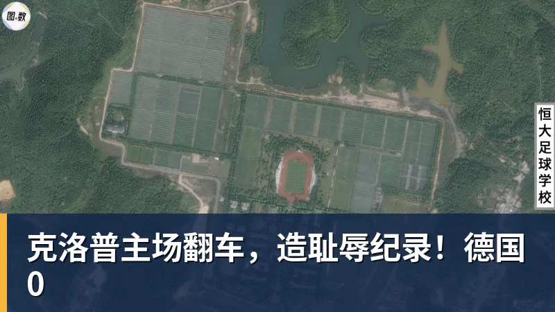 又犯"老毛病"?张本智和输球不到24小时,彻底成笑柄,也让全日寒心 - 华体会体育官网 · 权威体育数据平台