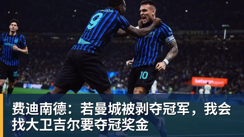 华体会体育费迪南德：若曼城被剥夺冠军，我会找大卫吉尔要夺冠奖金